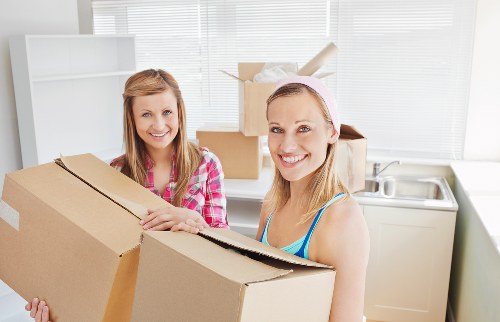 Business delivery and transport support with a man and van