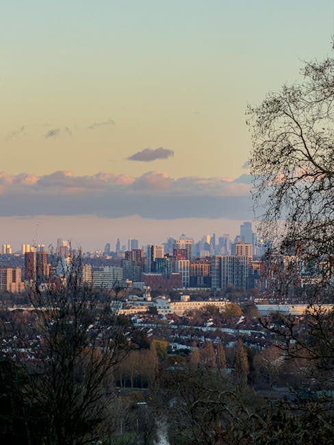 A wide-angle view of a city skyline during sunset, with tall skyscrapers and office buildings in the distance under a partly cloudy sky. In the foreground, leafless trees with bare branches frame the lower part of the image, indicating a winter or late autumn season. The scene appears to be viewed from an elevated vantage point, possibly from a residential area with rooftops visible below. The lighting casts a warm glow on the buildings, and the overall atmosphere suggests a calm evening, capturing the urban landscape typical of North Harrow. This image could relate to house removals or relocation services by illustrating the environment where [MAN WITH VAN NORTH HARROW] might operate, assisting clients in moving within or to this area.